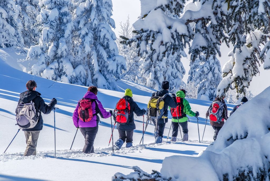 Gruppo di escursionisti con le ciaspole in un bosco innevato